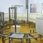 Nous proposons des lignes à bassines neuves en automatique ou en manuelle complète. Nous assurons de la partie réception du lait jusqu'à la partie affinage. aef-jacquier