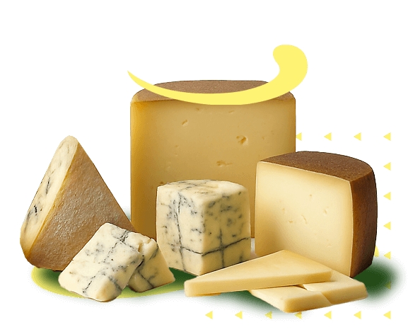 fromage-aef-jacquier-solution-pour-fromagerie-laiterie-jura-homepage-